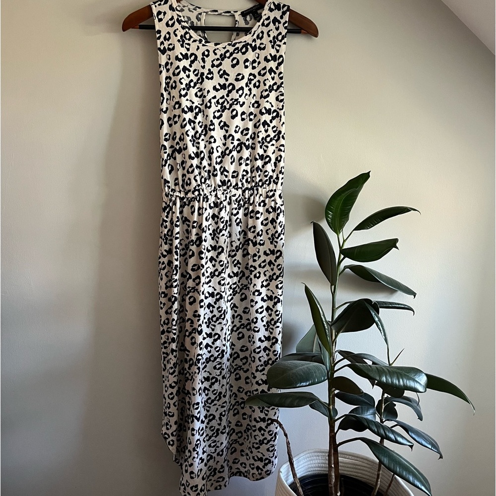 Banana Republic Dress | White with Blue Leopard | Medium